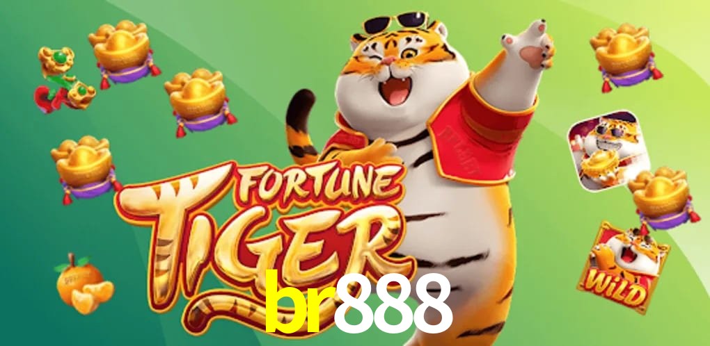 Sports Statistics br888